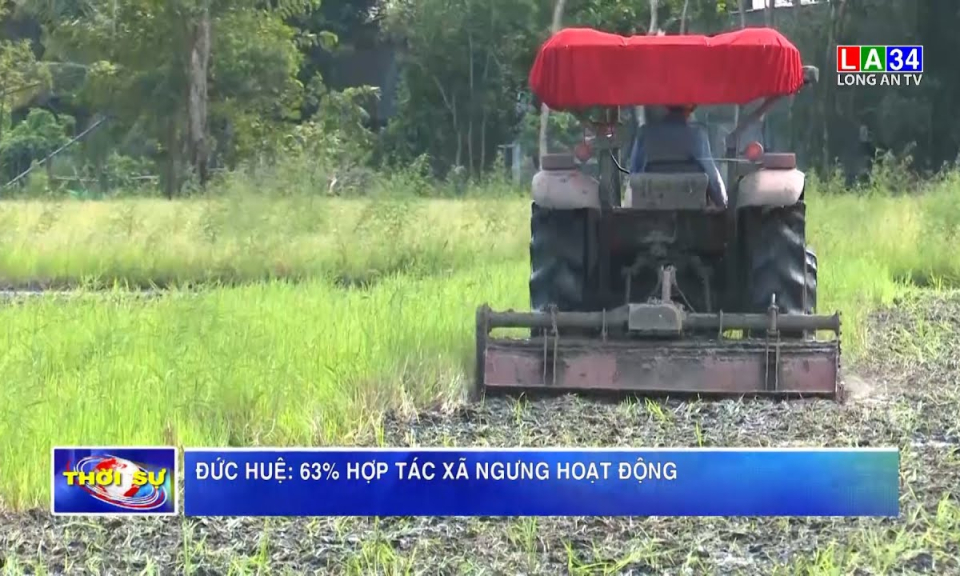 Đức Huệ: 63% hợp tác xã ngưng hoạt động