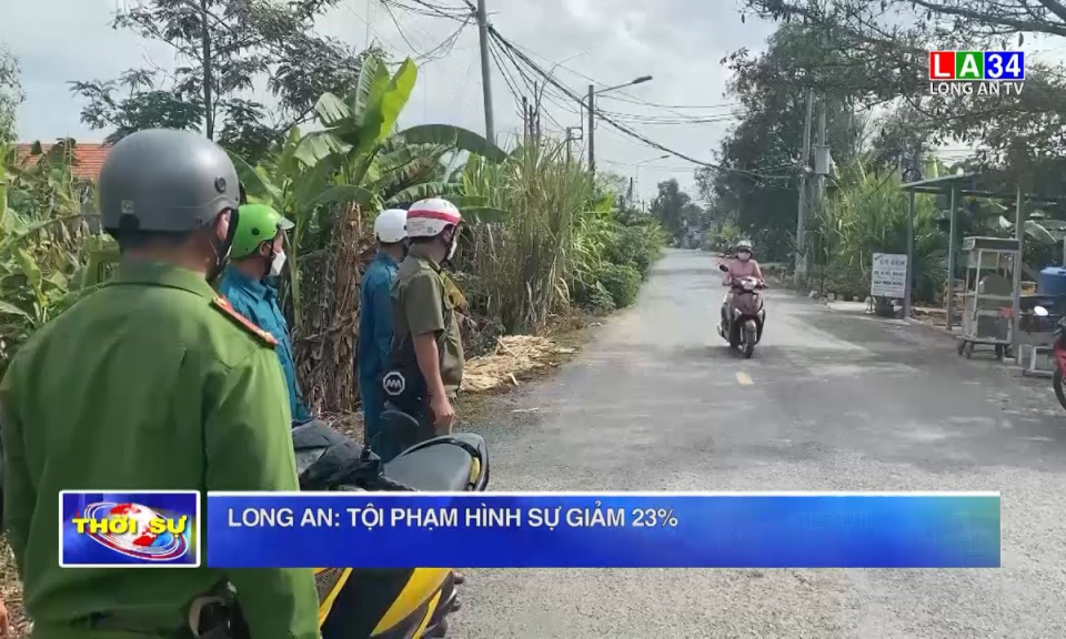 Long An: Tội phạm hình sự giảm 23%