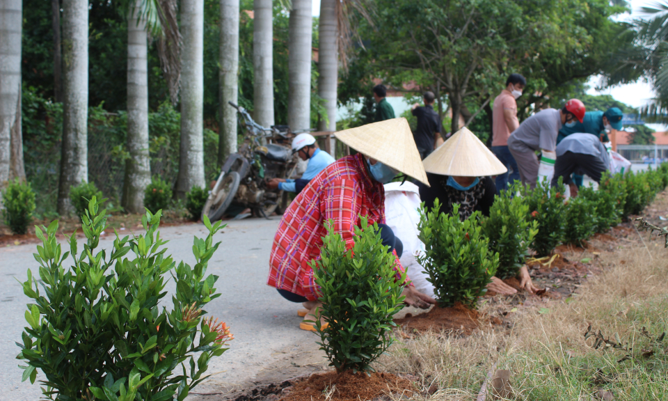 Đức Huệ trồng 450 chậu hoa trang trên tuyến đường giao thông nông thôn