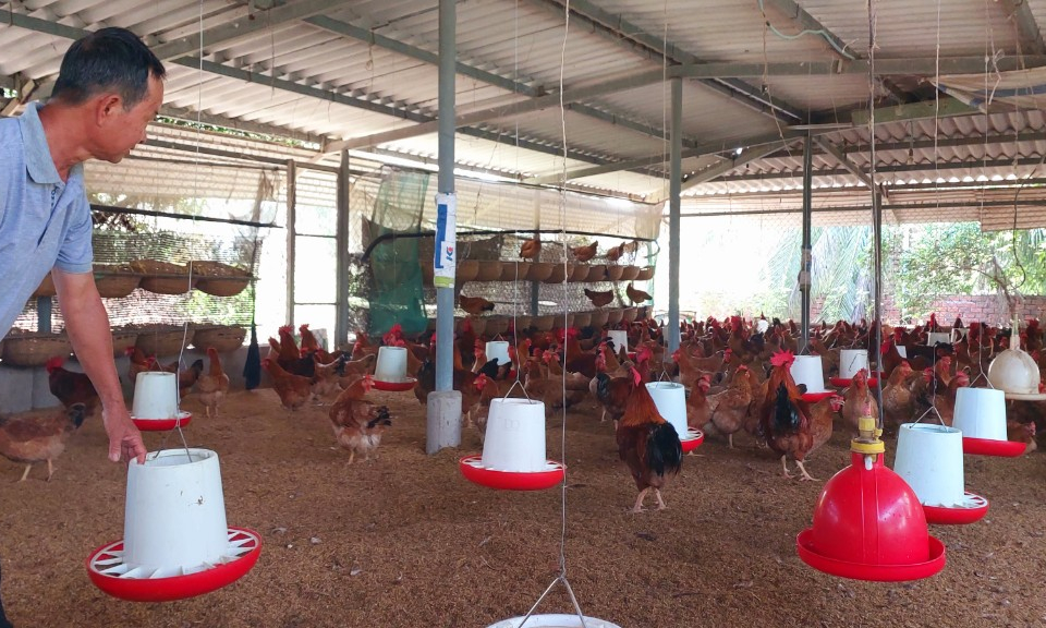 Tân Trụ: Ông Đặng Quang Quận – Thương binh làm kinh tế giỏi