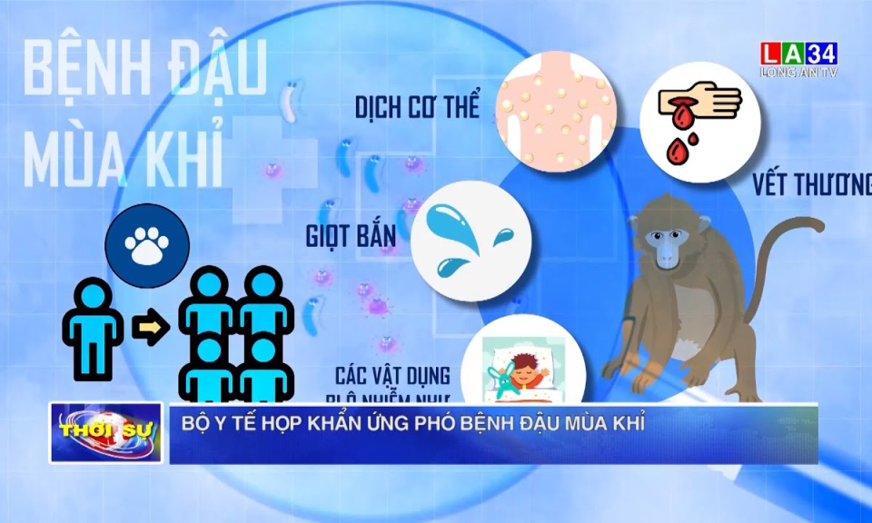 Bộ Y tế họp khẩn ứng phó bệnh đậu mùa khỉ