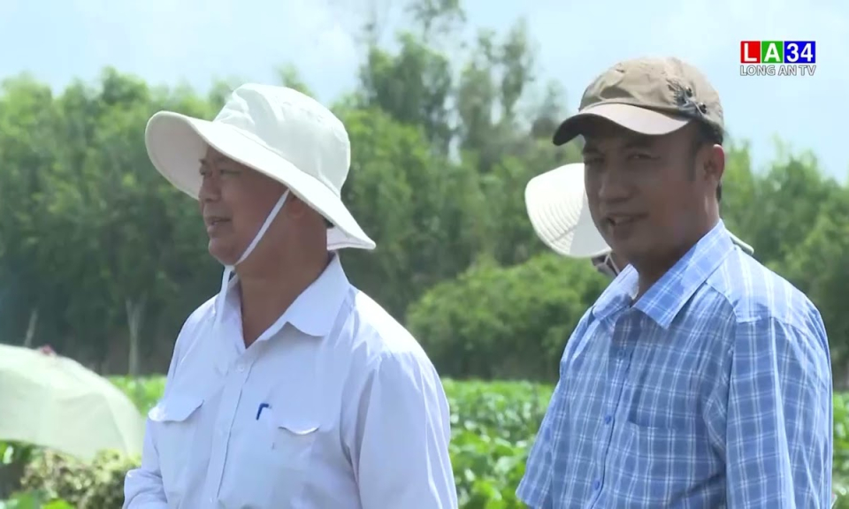 Đảm bảo an toàn sản xuất lúa trong mùa mưa, lũ