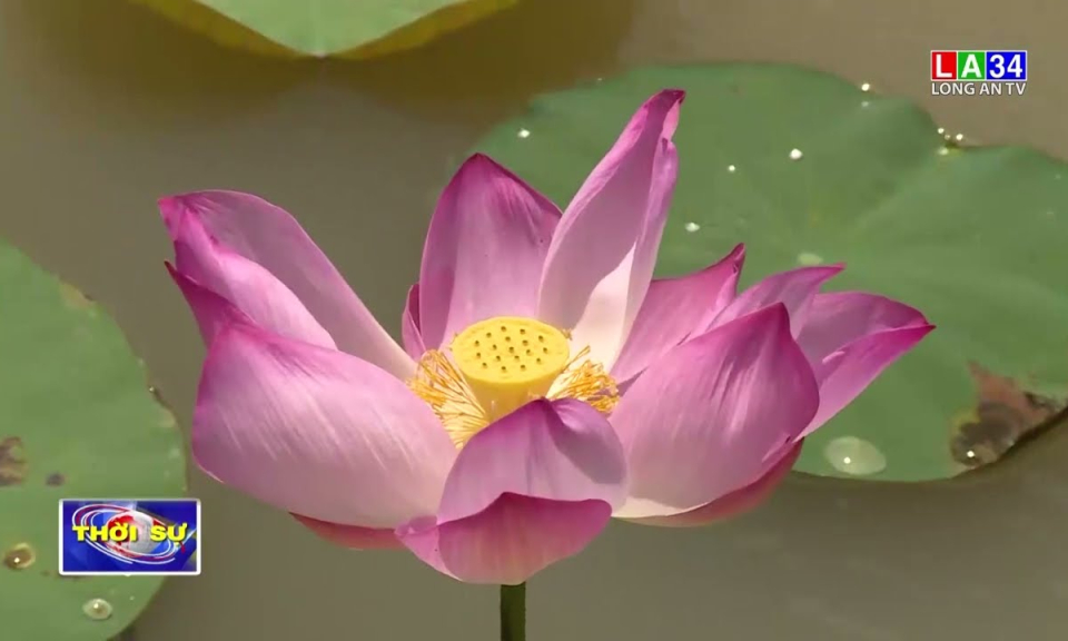 Trải nghiệm điểm du sinh thái mới "Không thời gian"