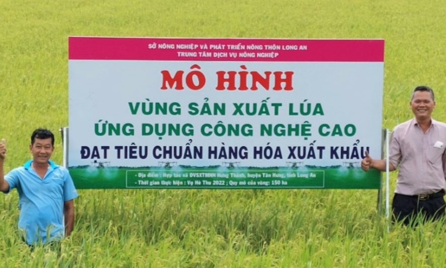 Mô hình xây dựng vùng lúa UDCNC vụ hè thu năm 2022 tại Tân Hưng