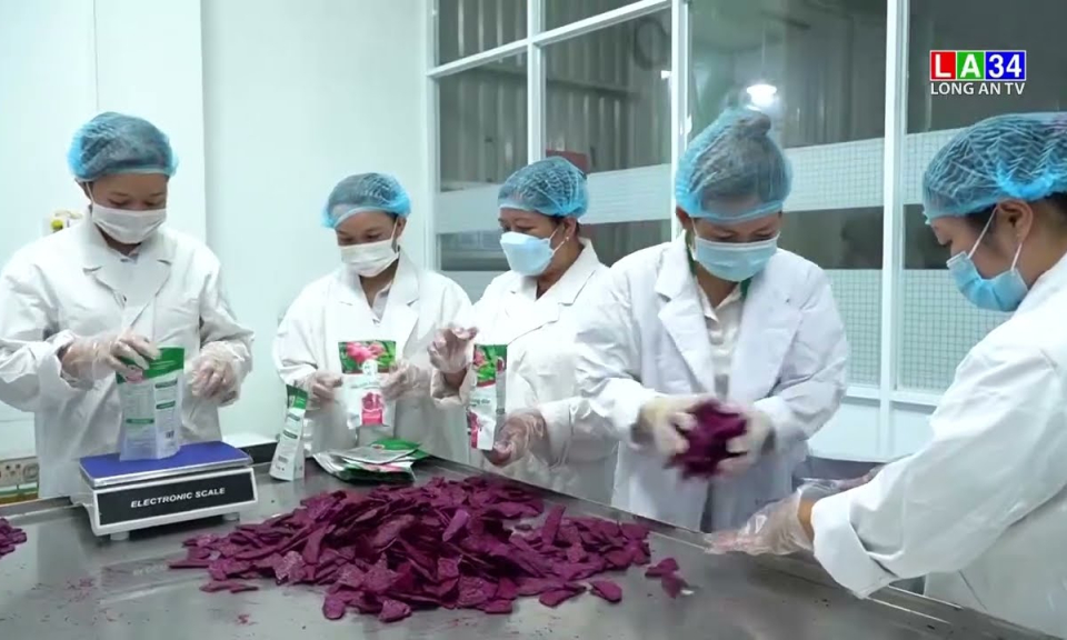 Nâng cao sản phẩm sau thu hoạch bằng công nghệ sấy