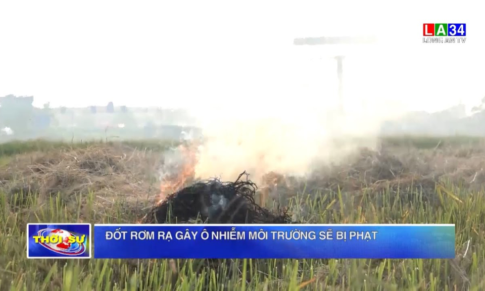 Đốt rơm rạ gây ô nhiễm môi trường sẽ bị phạt