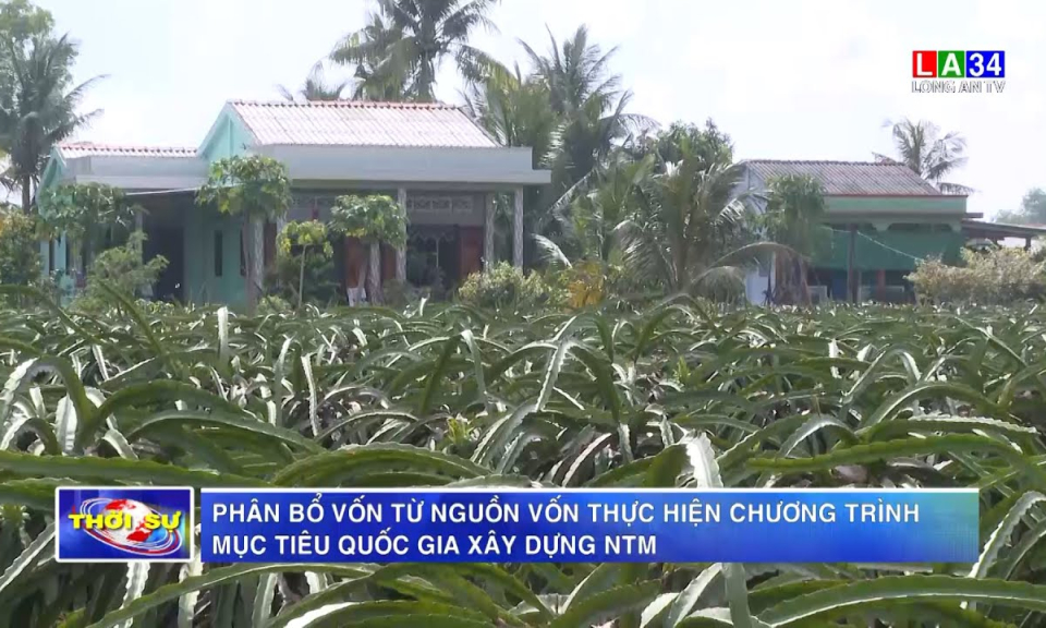 Phân bổ vốn từ nguồn vốn thực hiện Chương trình mục tiêu quốc gia xây dựng NTM