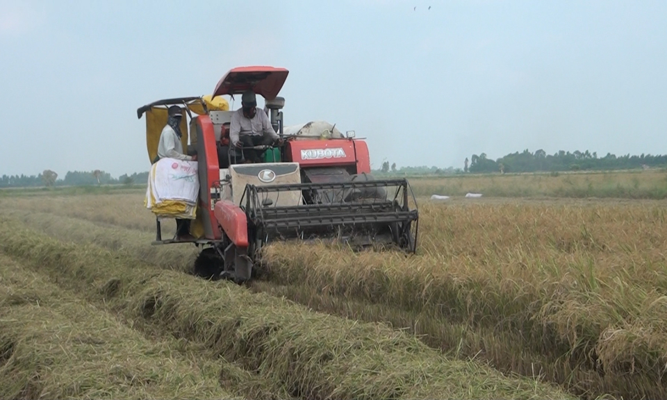 Tân Hưng: Chủ động phòng, chống thiên tai,tìm kiếm, cứu nạn 