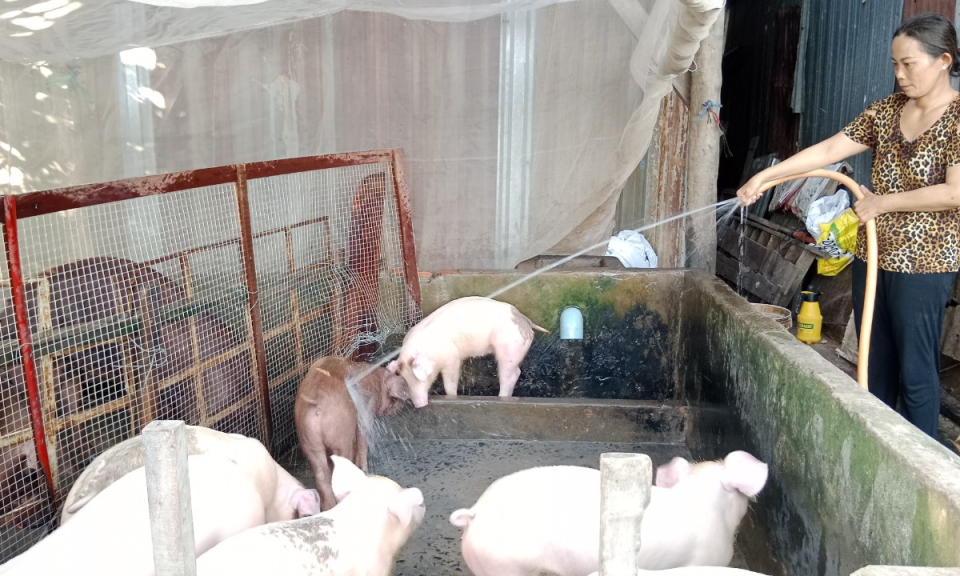 Tân Hưng: Phụ nữ xã Hưng Điền B vượt khó, thoát nghèo