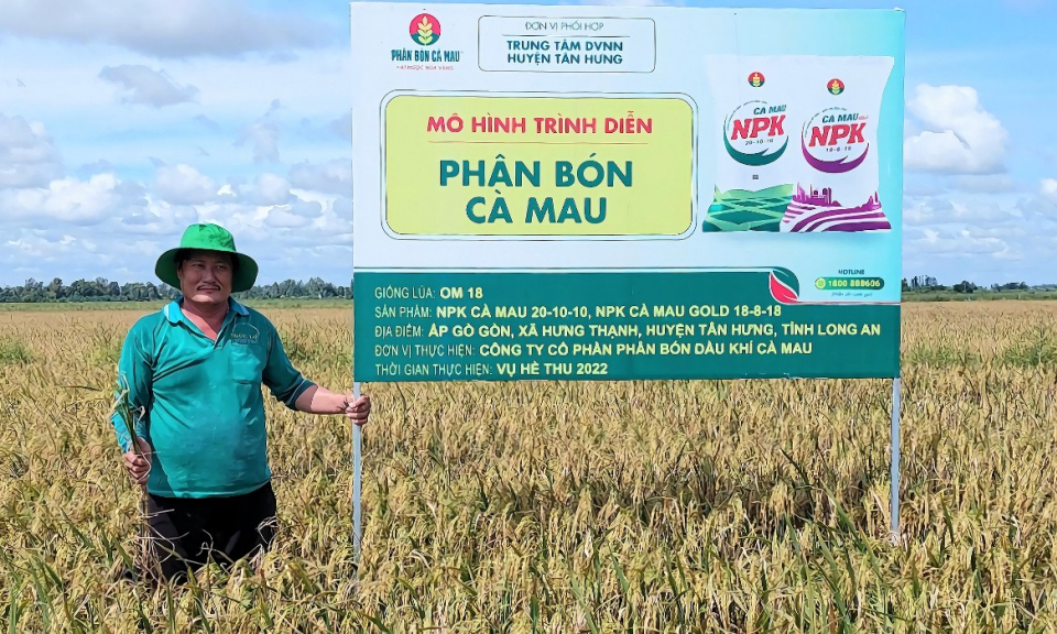 Tân Hưng tổng kết trình diễn bộ sản phẩm phân bón Cà Mau trên cây lúa hè thu 2022