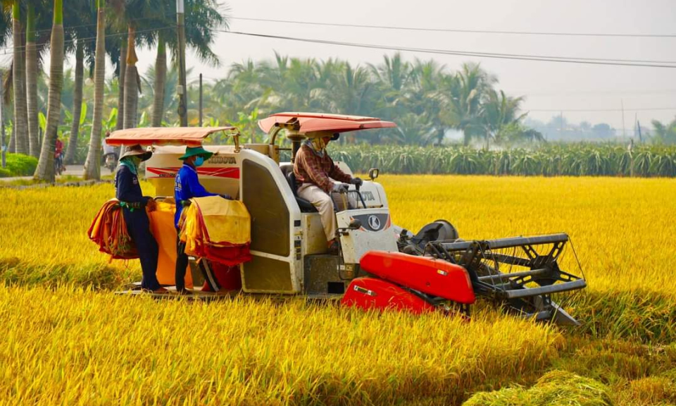 Tân Trụ huy động hơn 1.468 tỉ đồng xây dựng nông thôn mới