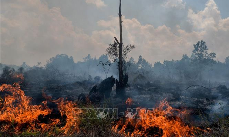 Indonesia huy động nhiều máy bay túc trực phòng cháy rừng