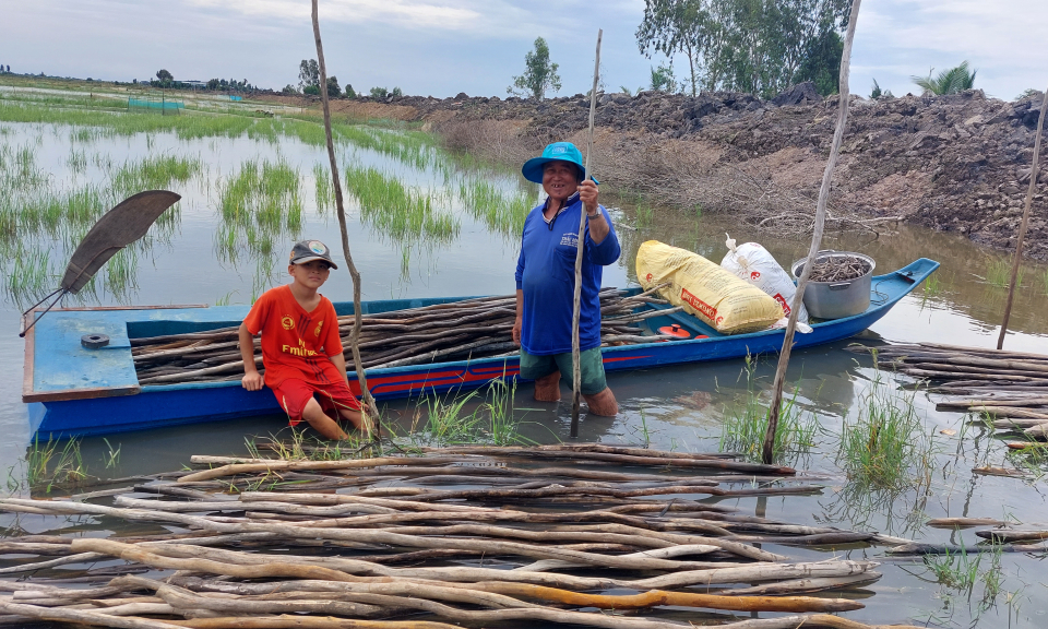 Tân Hưng người dân phấn khởi khi mùa lũ về sớm