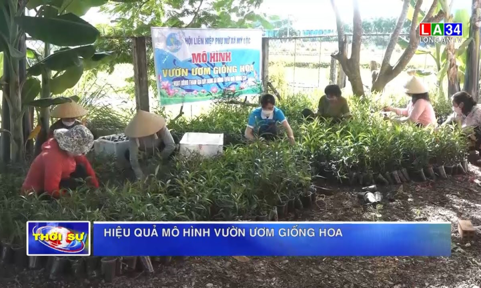 Hiệu quả mô hình vườn ươm giống hoa