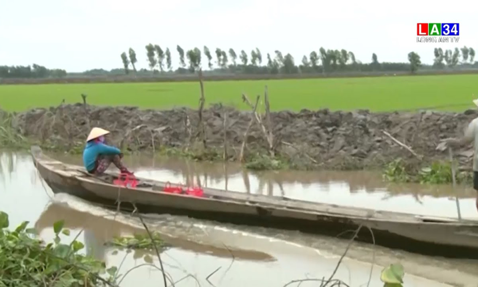 Long An thực hiện các giải pháp đề phòng lũ đột biến, triều cường