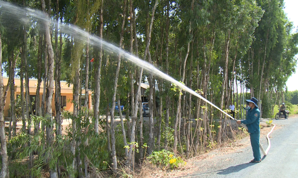 Từ đầu mùa khô đến nay, toàn tỉnh không xảy ra vụ cháy gây thiệt hại về rừng