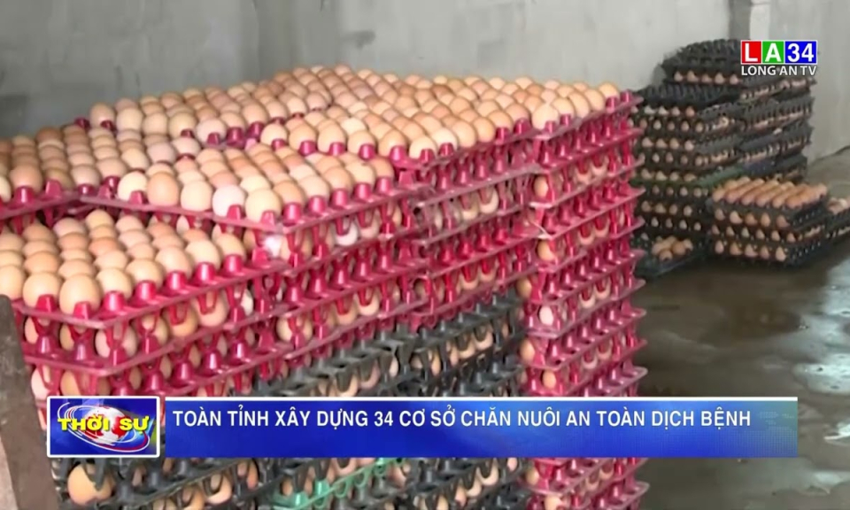 Toàn tỉnh xây dựng 34 cơ sở chăn nuôi an toàn dịch bệnh