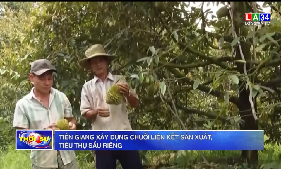 Tiền Giang xây dựng chuỗi liên kết sản xuất, tiêu thụ sầu riêng