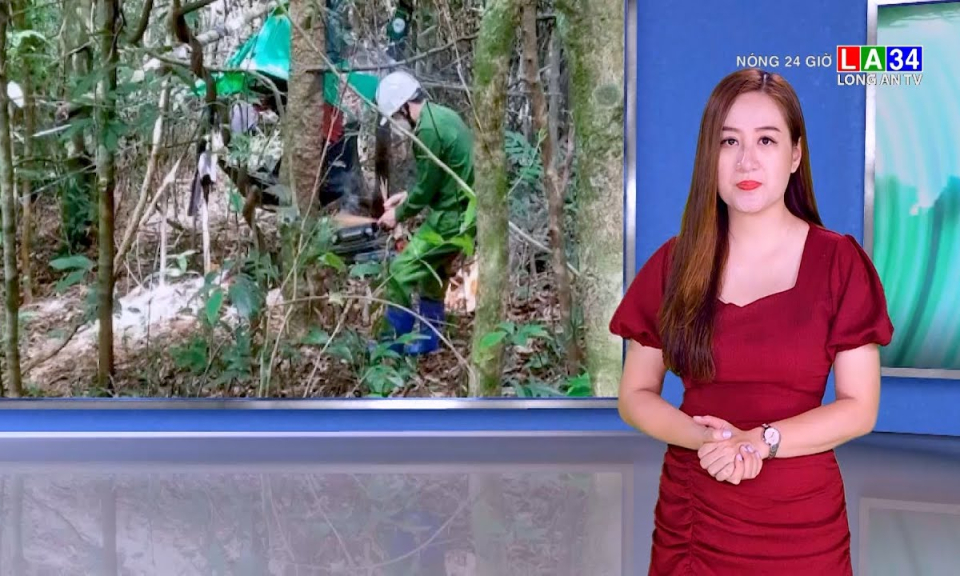 Đã xác định danh tính 2 bộ xương được phát hiện trong rừng ở Gia Lai