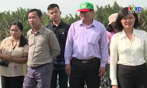 Thành công từ nghề nuôi vịt trời