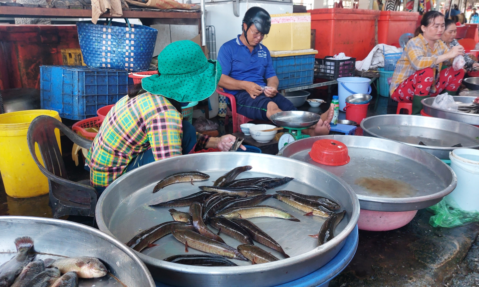 Tân Hưng sản vật mùa nước nổi ngày càng khan hiếm