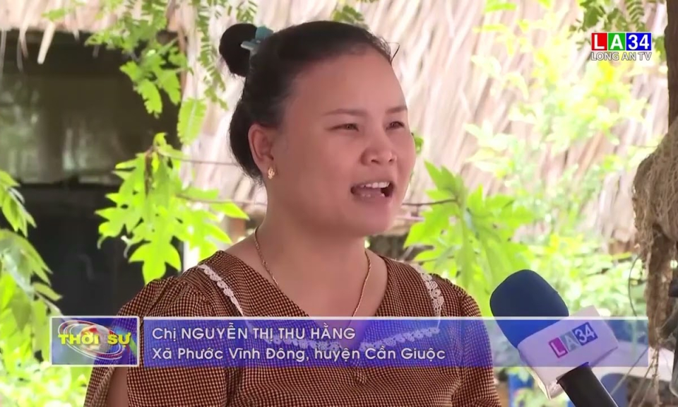 Cô giáo thành công với mô hình nuôi chim trĩ đỏ