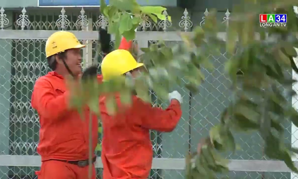Đảm bảo cung cấp điện phục vụ Tuần Văn hóa – Du lịch tỉnh Long An năm 2022