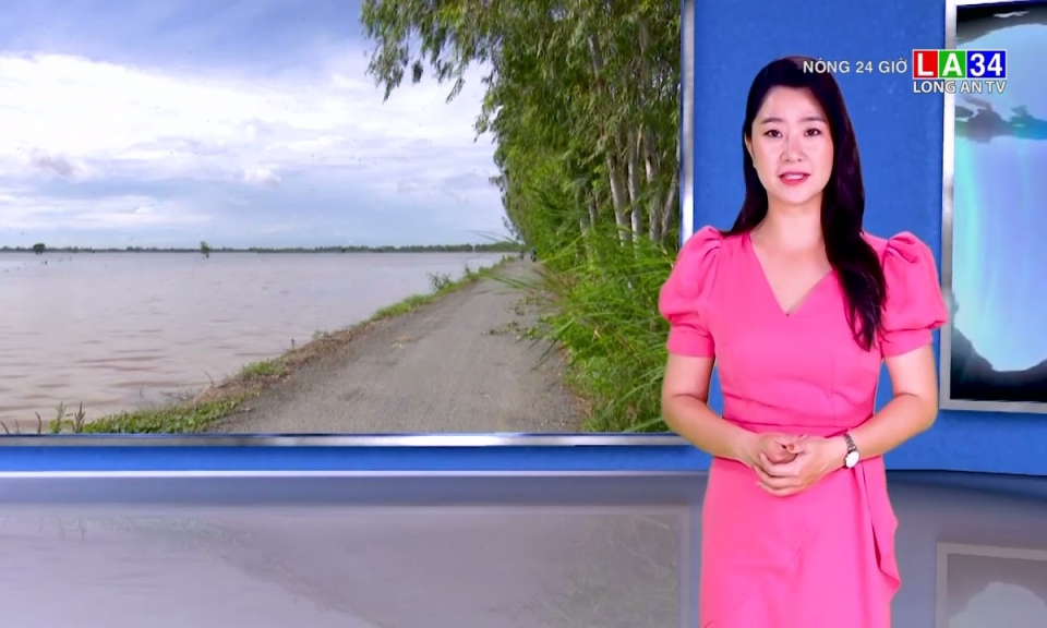 Chiêm ngưỡng hàng ngàn con chim én bay lượn trên cánh đồng ở tỉnh Đồng Tháp