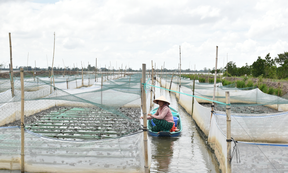 Tân Thạnh hiệu quả từ những điểm giao dịch xã, thị trấn của Ngân hàng Chính sách xã hội