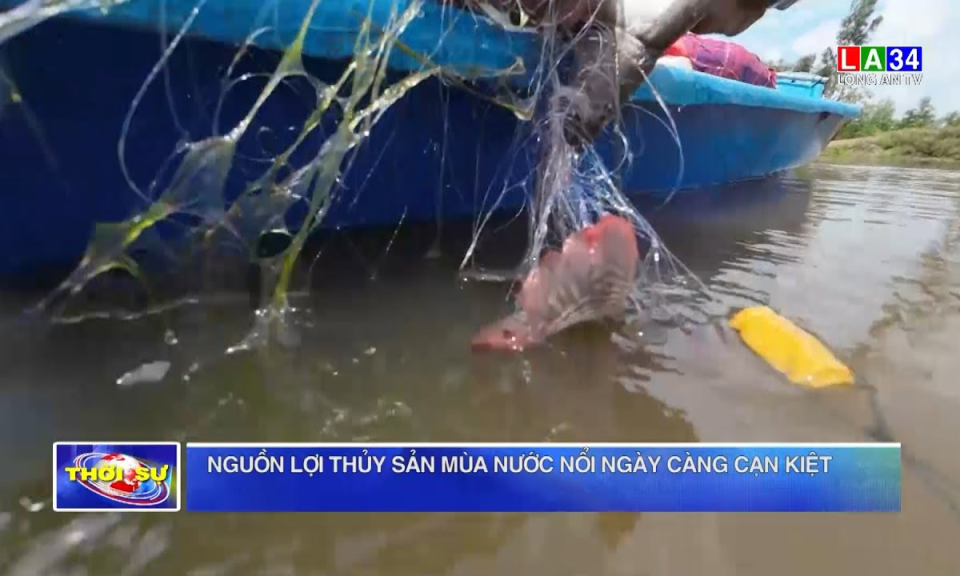 Nguồn lợi thủy sản mùa nước nổi ngày càng cạn kiệt