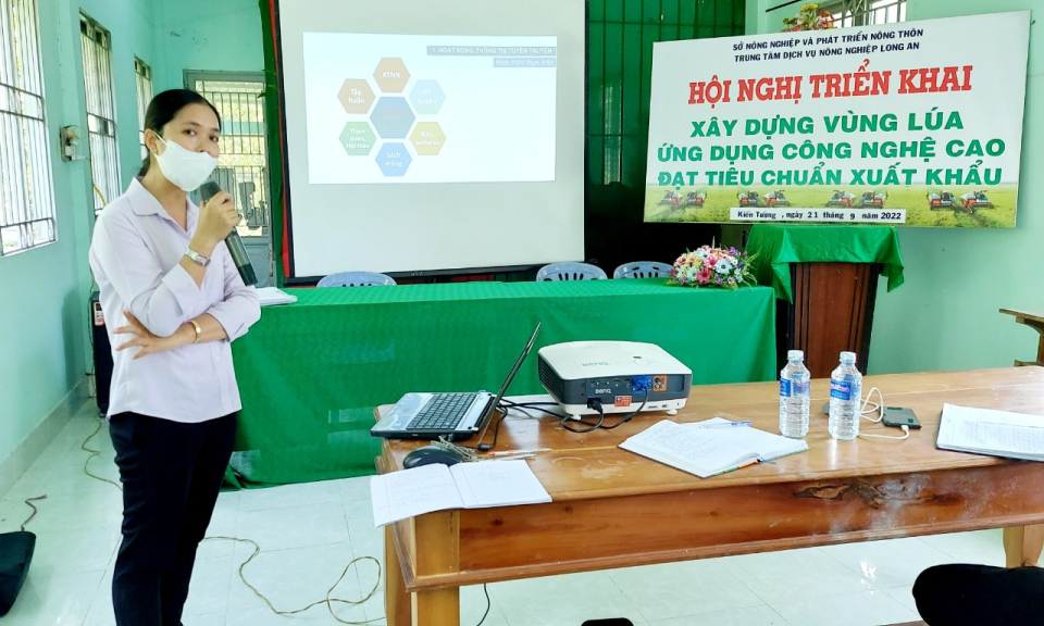 Kiến Tường mô hình vùng lúa ứng dụng công nghệ cao