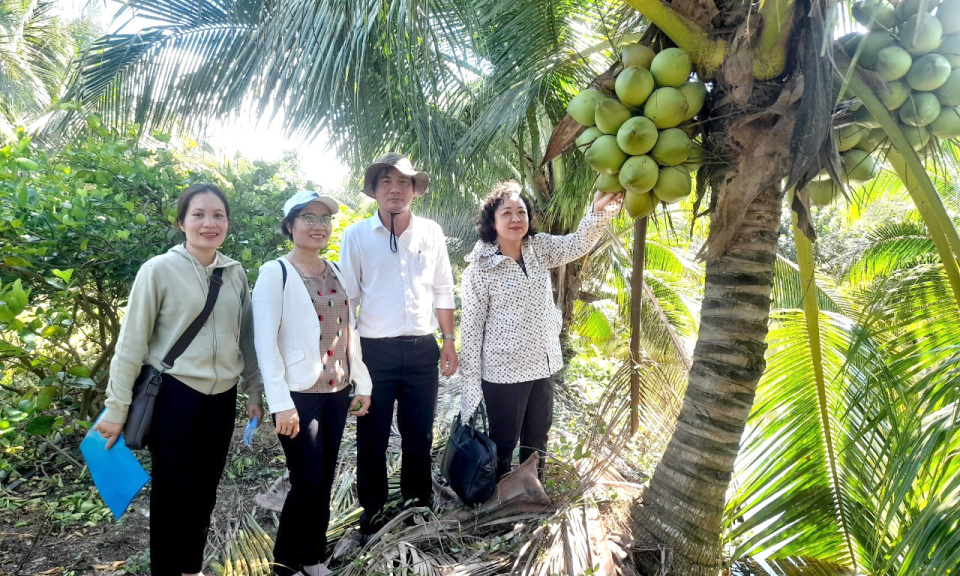 Ban Kinh tế - Xã hội HĐND huyện Tân Thạnh khảo sát tình hình thục tế chuyển đổi cây trồng vật nuôi tại xã Kiến Bình