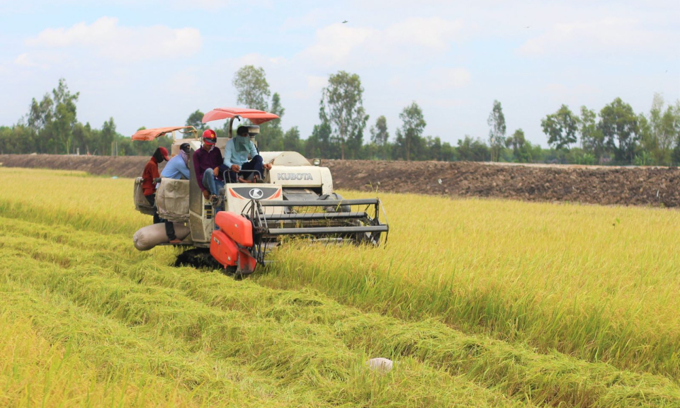 Long An có gần 2.000ha vùng nguyên liệu được chứng nhận VietGap, nông nghiệp hữu cơ