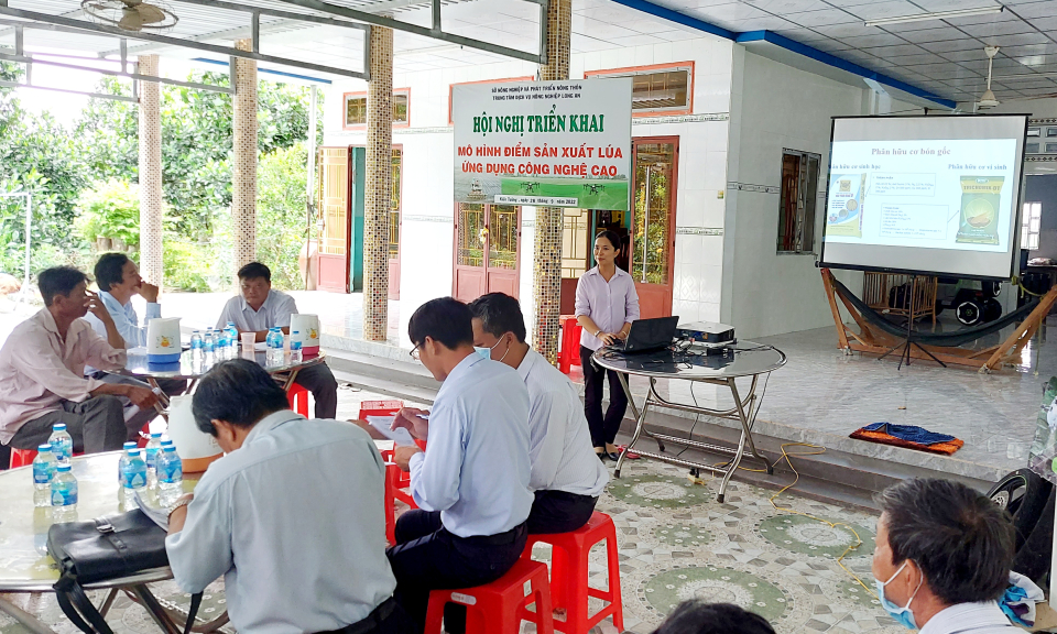 Kiến Tường triển khai mô hình điểm sản xuất lúa ứng dụng công nghệ cao