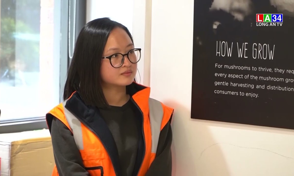Đoàn công tác tỉnh Long An thăm trang trại tập đoàn Costa