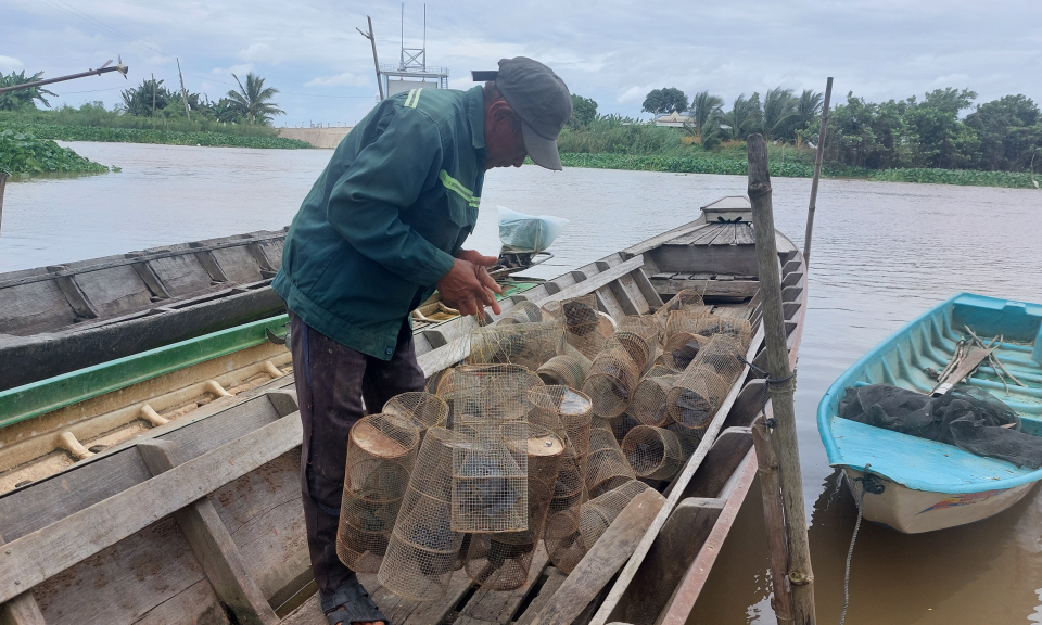 Tân Hưng người dân có thu nhập ổn định với nghề đặt lọp ếch trong mùa nước nổi
