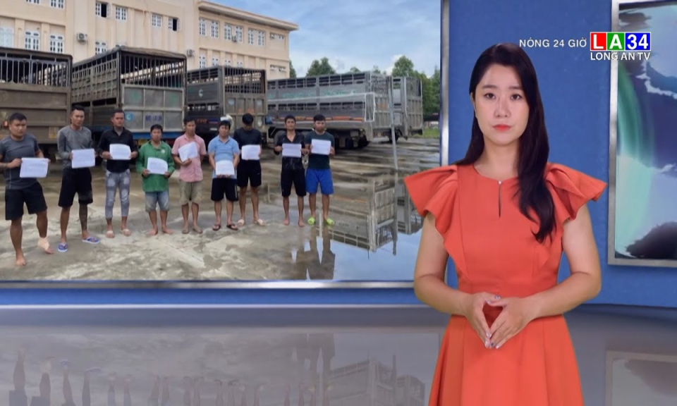 Bắt nhóm người chuyên đánh tráo heo thịt để trục lợi
