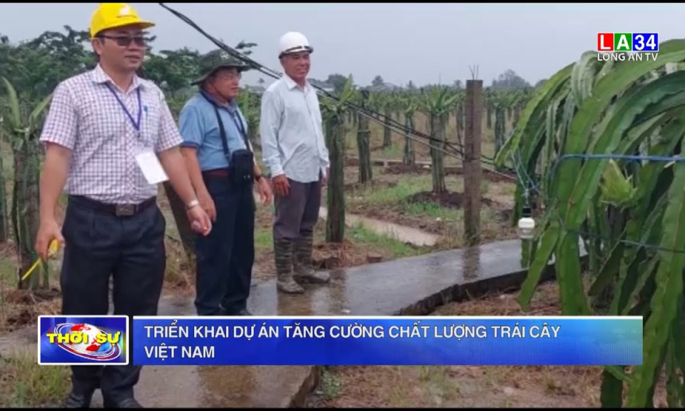 Triển khai Dự án tăng cường chất lượng trái cây Việt Nam