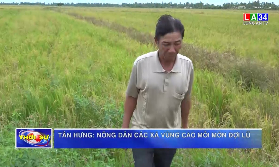 Tân Hưng: Nông dân các xã vùng cao mỏi mòn đợi lũ
