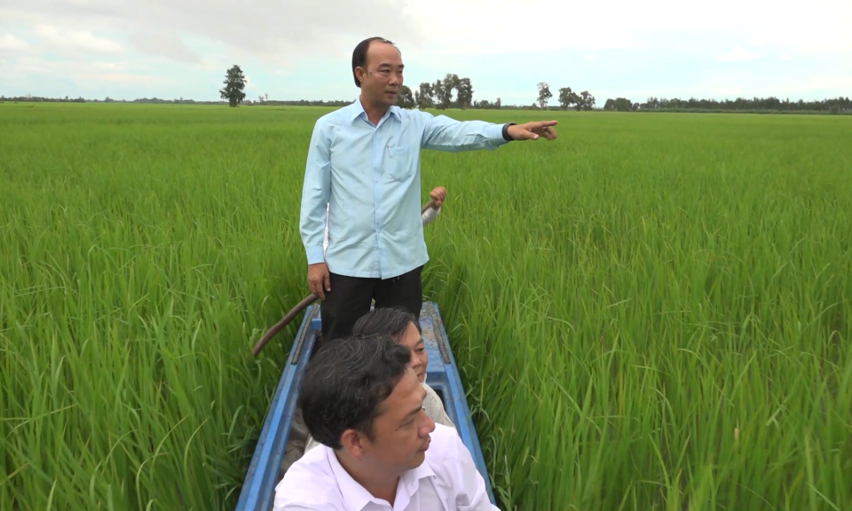 Lãnh đạo huyện Tân Hưng kiểm tra tình hình sản xuất lúa mùa nổi