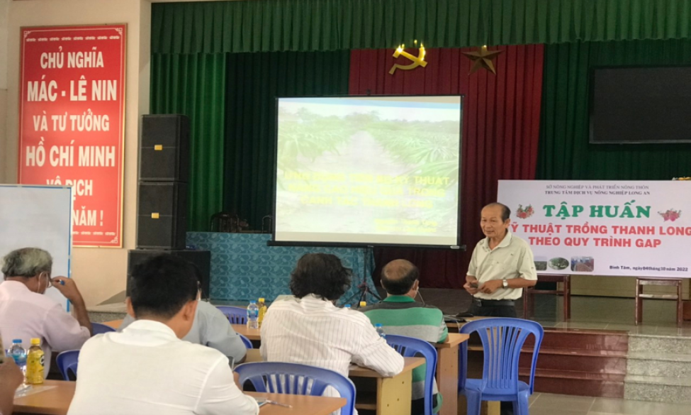 TP Tân An: tập huấn kỹ thuật trồng cây thanh long theo hướng VietGAP tại xã Bình Tâm