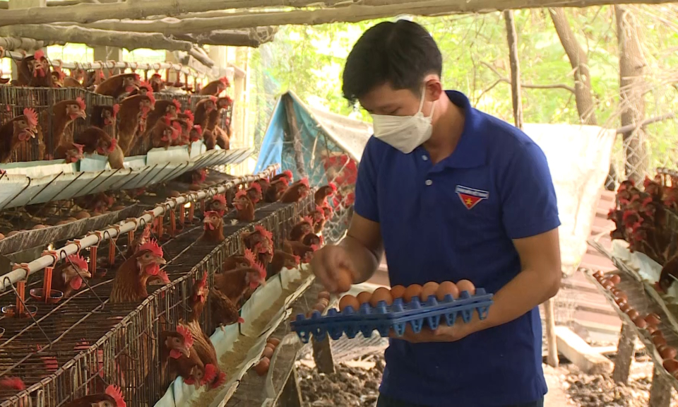 Đồng hành cùng thanh niên khởi nghiệp, lập nghiệp