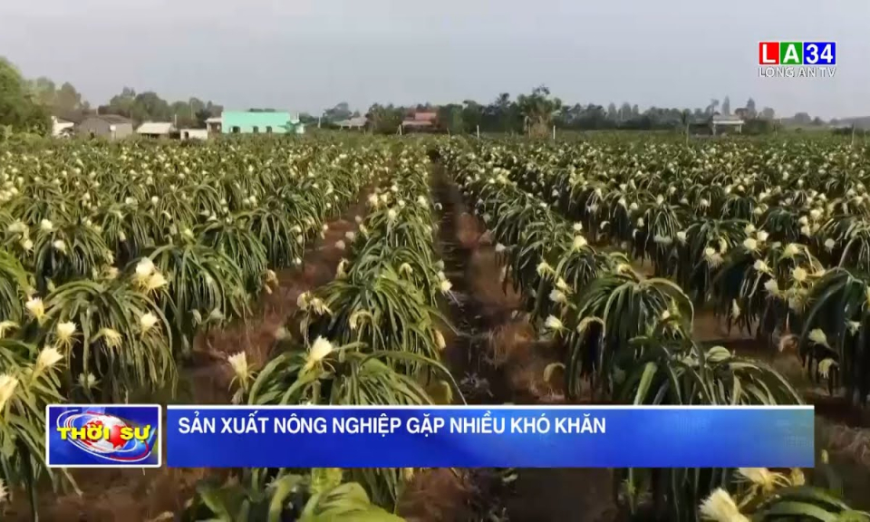 Sản xuất nông nghiệp gặp nhiều khó khăn