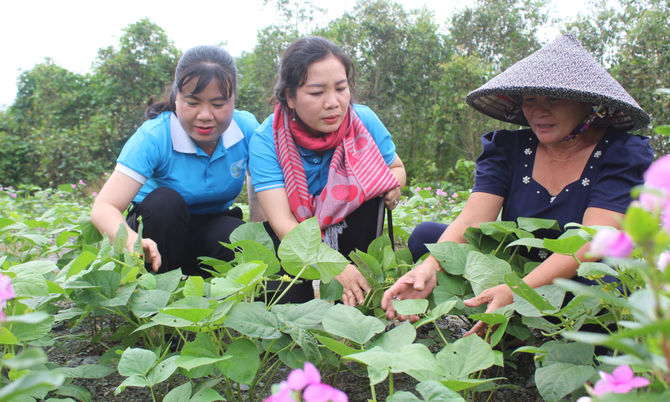 Hội LHPN huyện Vĩnh Hưng tham quan,trao đổi kinh nghiệm mô hình phụ nữ khởi nghiệp, sinh kế tại huyện Đức Huệ
