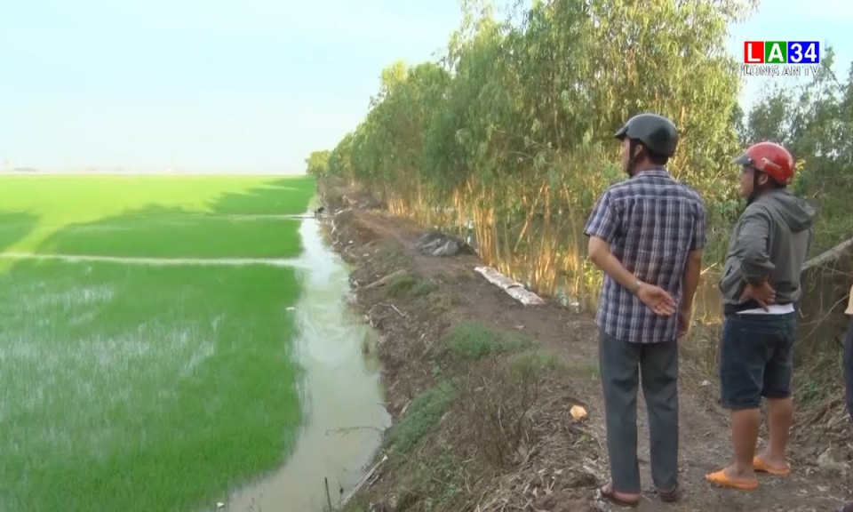 Tân Thạnh: Kiểm tra tình hình sản xuất tại các tuyến đê bao xung yếu