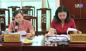 Đoàn ĐBQH tỉnh giám sát UBND tỉnh về thực hiện chính sách thu hút đầu tư