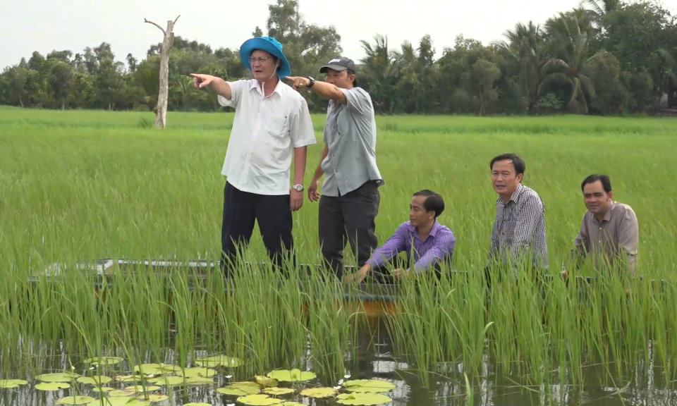 Bí thư Huyện ủy Tân Hưng kiểm tra tình hình sản xuất lúa mùa nổi