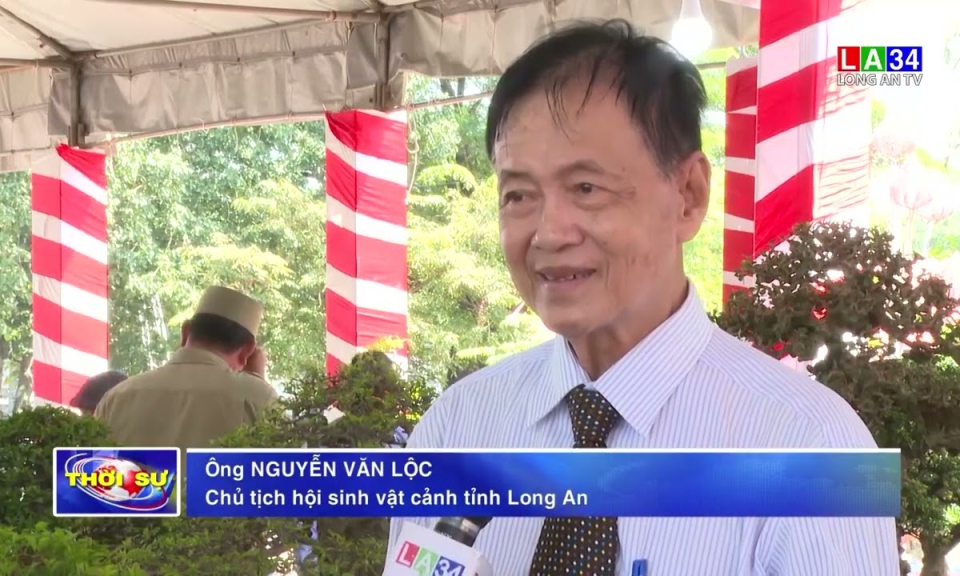 Thúc đẩy phát triển phong trào sinh vật cảnh về nghệ thuật và kinh tế