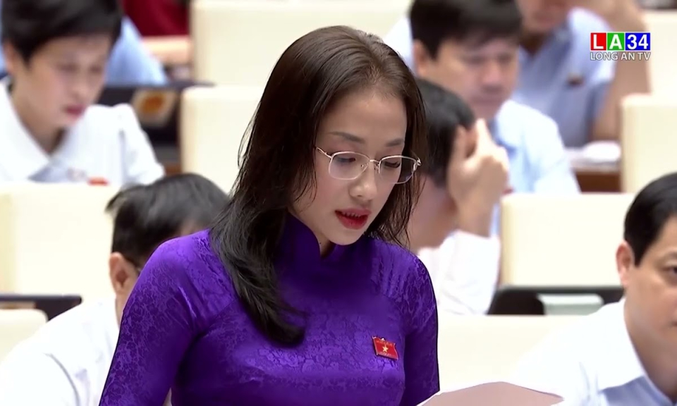 Đoàn ĐBQH tỉnh Long An đóng góp dự án Luật phòng, chống rửa tiền (sửa đổi)