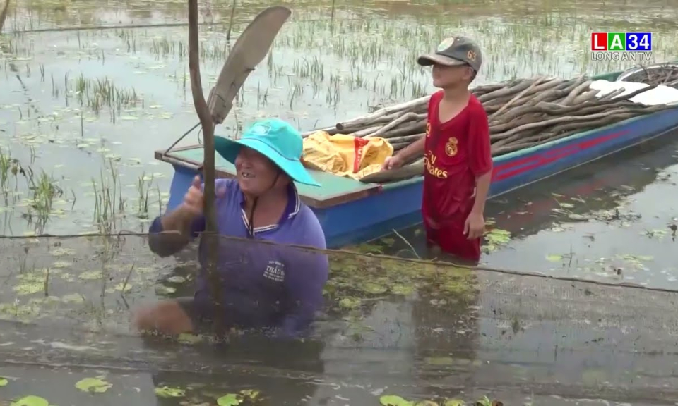 Tân Hưng: Nông dân các xã vùng cao phấn khởi khi lũ tràn đồng